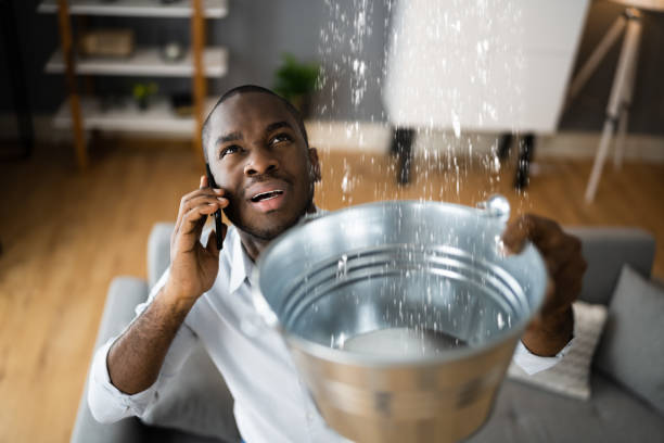 Best 24-hour water damage restoration  in Itta Bena, MS