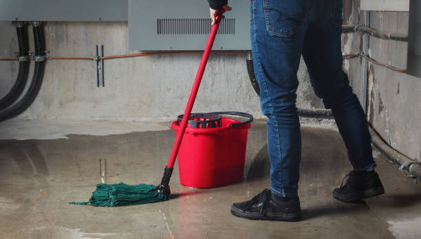 Best Basement water damage restoration  in Itta Bena, MS