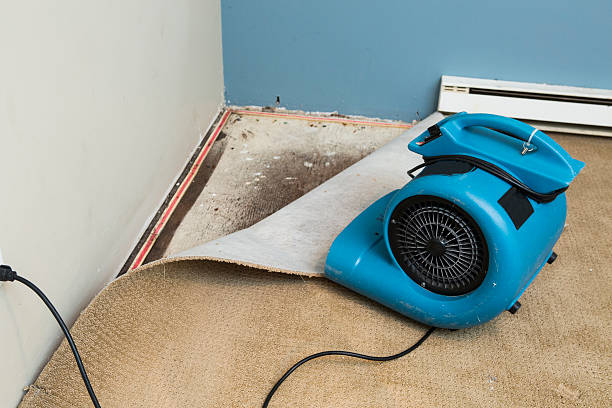 Best Fire Damage Restoration  in Itta Bena, MS